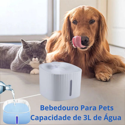 Bebedouro Fonte de Água Elevado Automático